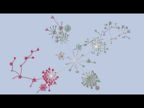 Gource - Software Version Control Visualization Tool
